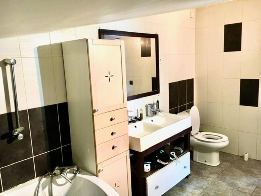 Le Depot Appartement Du Canal 80M2 A Champvert Eksteriør billede